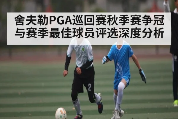 舍夫勒PGA巡回赛秋季赛争冠与赛季最佳球员评选深度分析